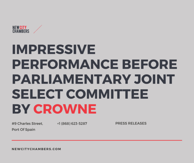 Dr Emir Crowne Parliamentary Joint Select Committee