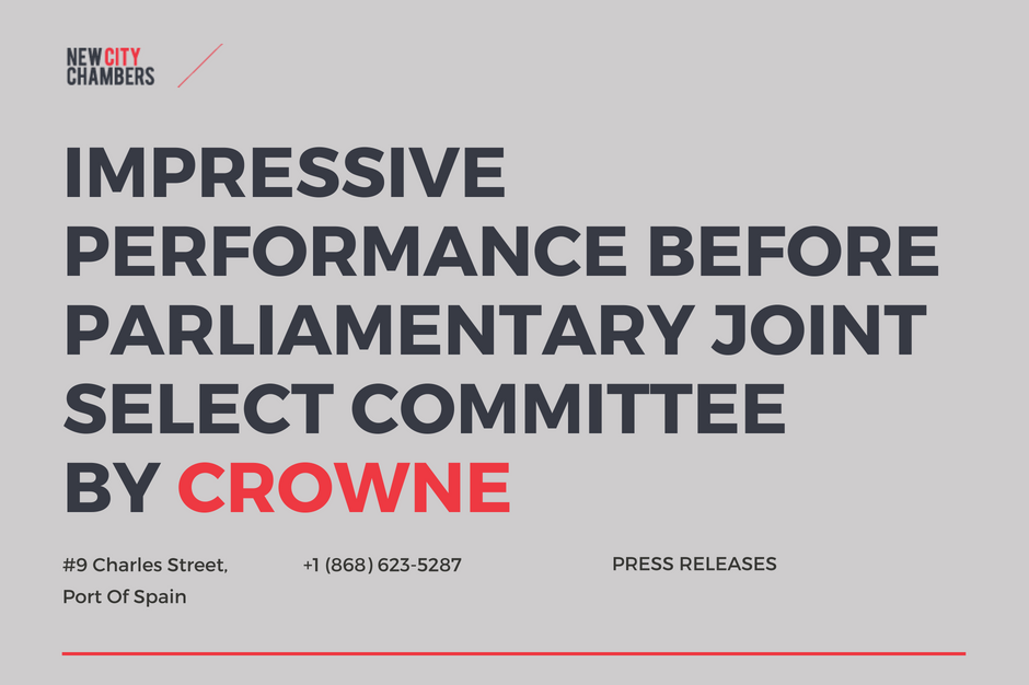 Dr Emir Crowne Parliamentary Joint Select Committee