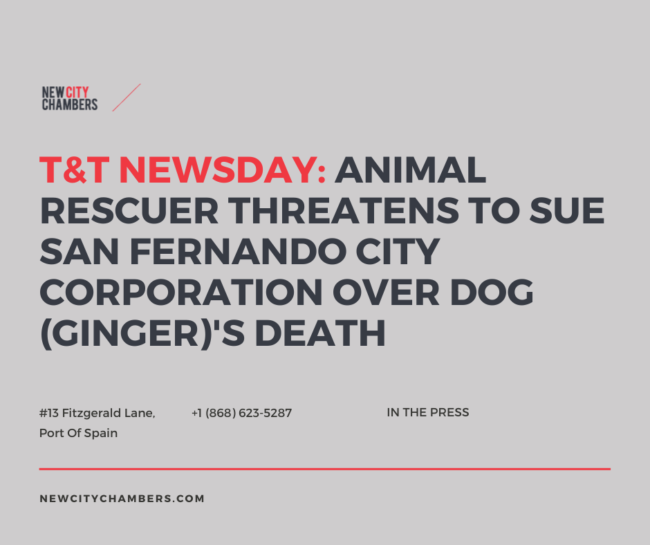 T&T NEWSDAY: Animal Rescuer Threatens To Sue San Fernando City Corporation Over Ginger The Dog's Death