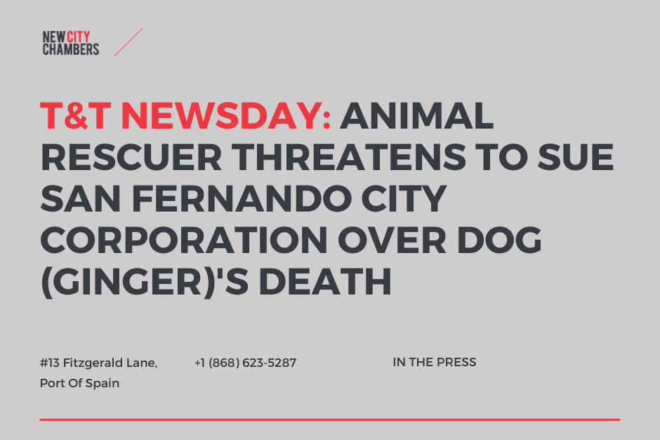 T&T NEWSDAY: Animal Rescuer Threatens To Sue San Fernando City Corporation Over Ginger The Dog's Death